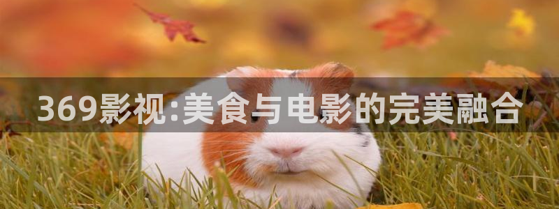 俄罗斯69视频：369影视:美食与电影的完美融合