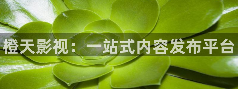 国语对白69视频：橙天影视：一站式内容发布平台