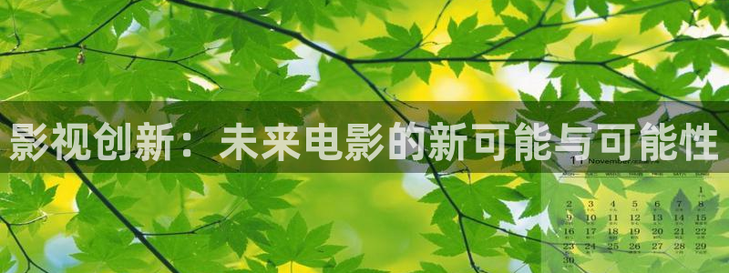 69视频在线网站