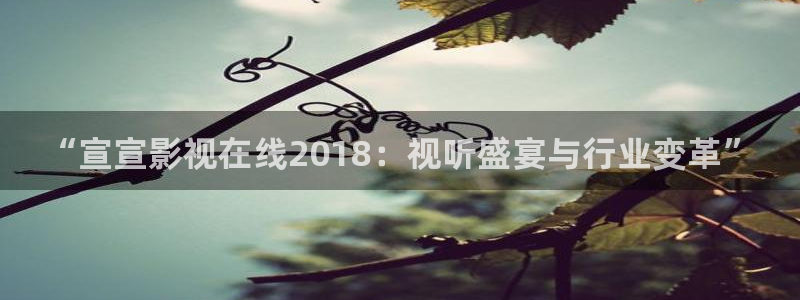 亚洲69视频在线：“宣宣影视在线2018：视听盛宴与行业变革”
