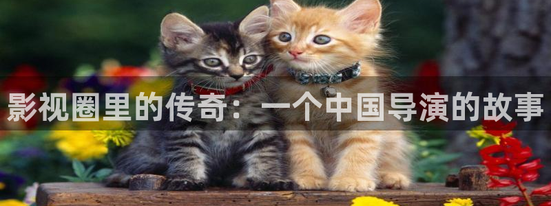 亚洲女人69视频