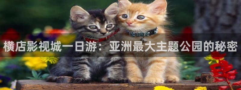 69视频在线观看精品免费