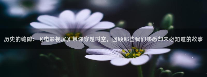 最新69视频